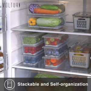 VOLTURI Fridge Storage Boxes Detailed Review